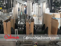 Loading Pouches - Wrap-Around Doypack Case Packer WIS300C