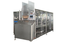 FIS300C RSC Case Packer for Stand-Up Pouches