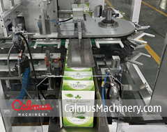 Form-Load-Seal Sachet Cartoner FIS200C